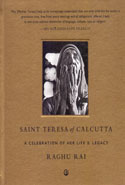 Saint Teresa of Calcutta a Celebration of Her Life and Legacy