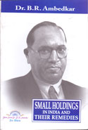 Small Holdings in India and tjeir Remedies